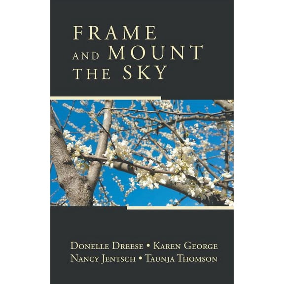 Frame and Mount the Sky (Paperback) by Donelle Dreese, Dr. Karen George, Thomson Jentsch