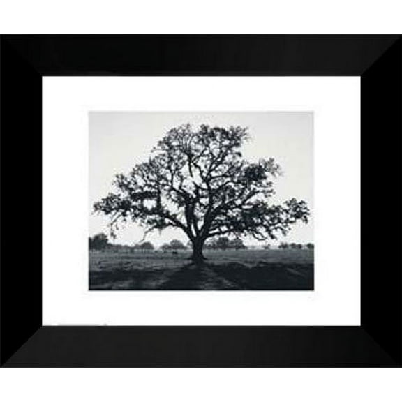 FrameToWall - Ansel Adams FRAMED Art Print 15x18 "Oak Tree Sunrise"