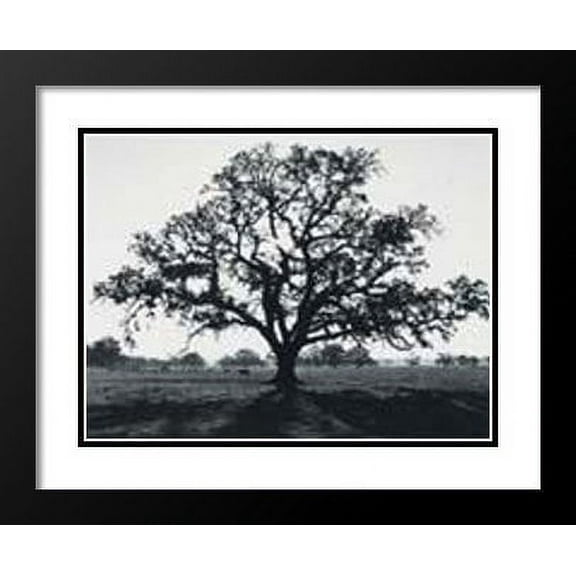 FrameToWall - Ansel Adams Framed and Double Matted Art Print 25x29 "Oak Tree Sunrise"