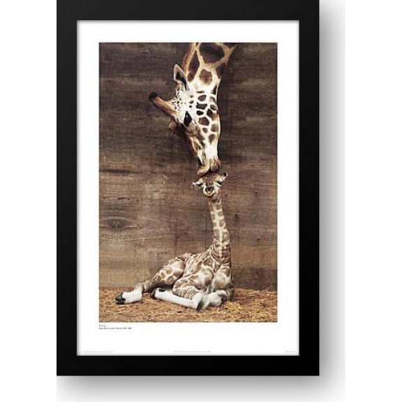 FrameToWall - Makulu 20x24 Framed Art Print by D'Raine, Ron