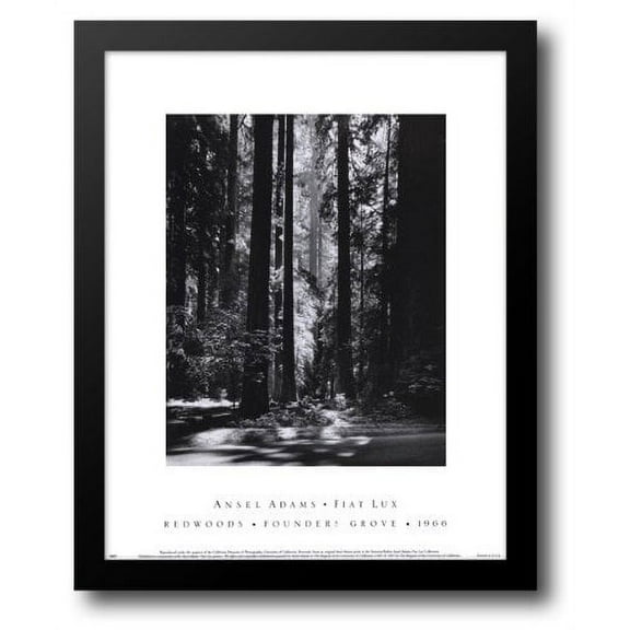 FrameToWall - Redwoods, Founders Grove 15x18 Framed Art Print by Adams, Ansel