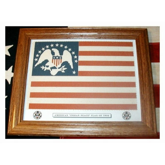 Framed 14 Star Flag, American Flag, Indian Peace Flag of 1802. Patriotic Wall Decor, Wall Art.