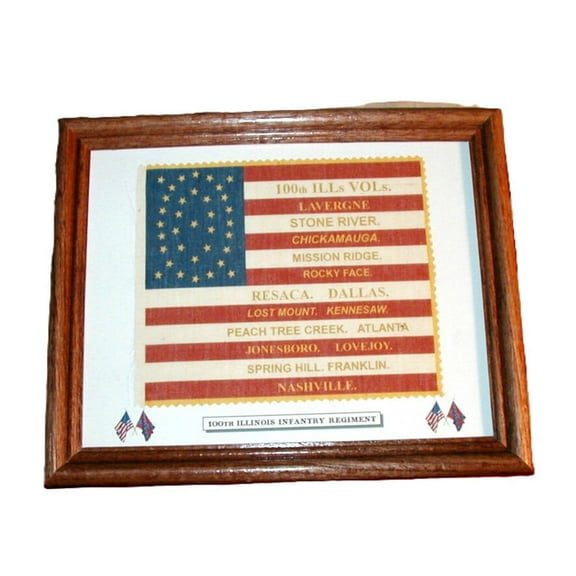 Framed, 35 Star Civil War American Flag...100th Illinois. Patriotic Wall Decor, Wall Art.