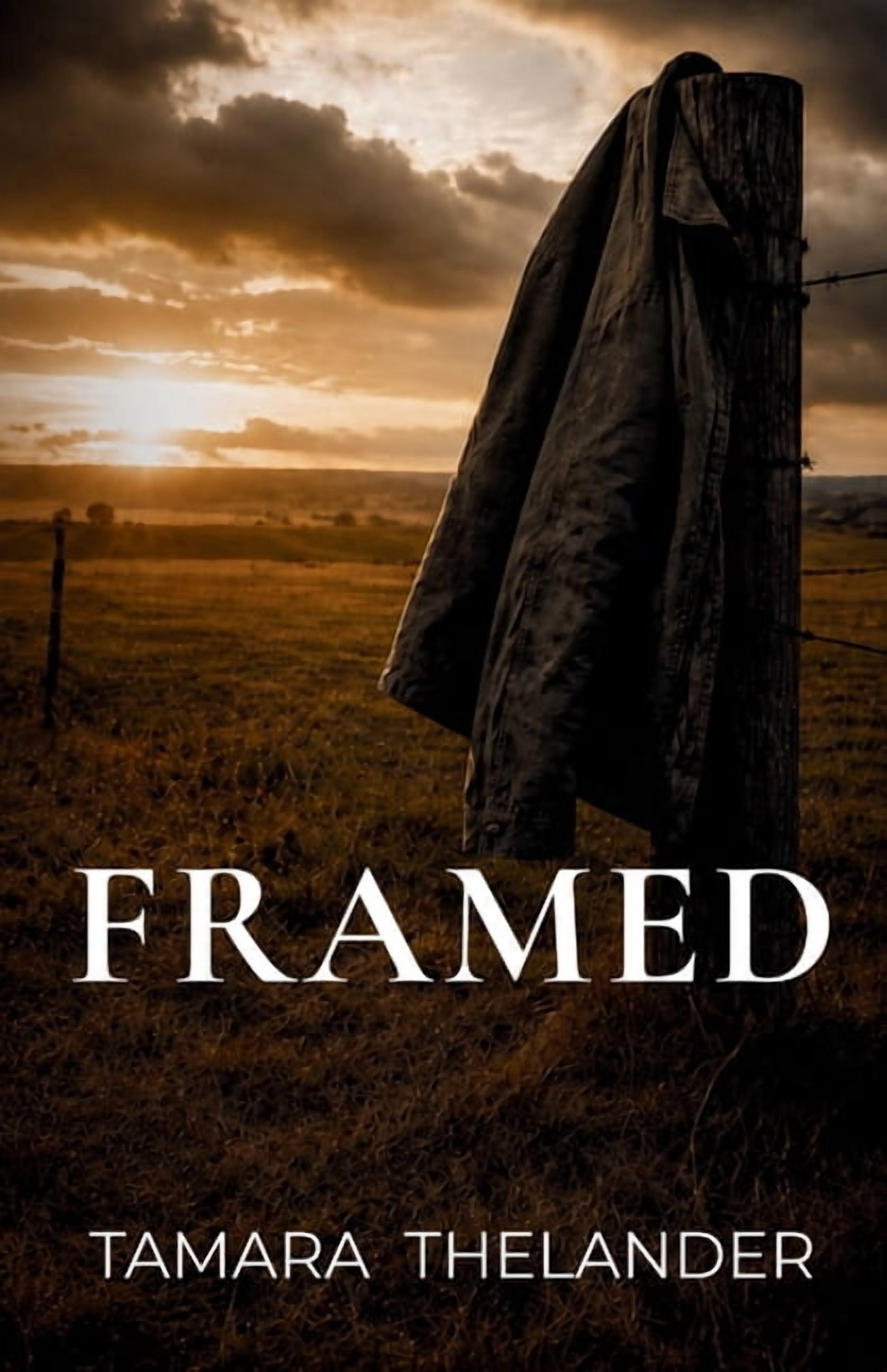 Framed: A Novel of Family, Betrayal, and Forgiveness in the American South, (Paperback)