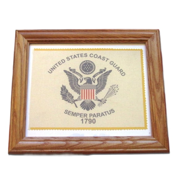 Framed American Military Flag, United States Coast Guard Flag, Solider, Veteran Gift. Patriotic Wall Decor, Wall Art.
