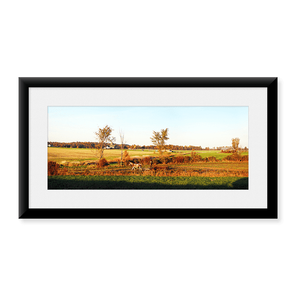 Framed Art Print, Amish farmer plowing a field by Panoramic Images, 11-7/8" x 17-7/8"