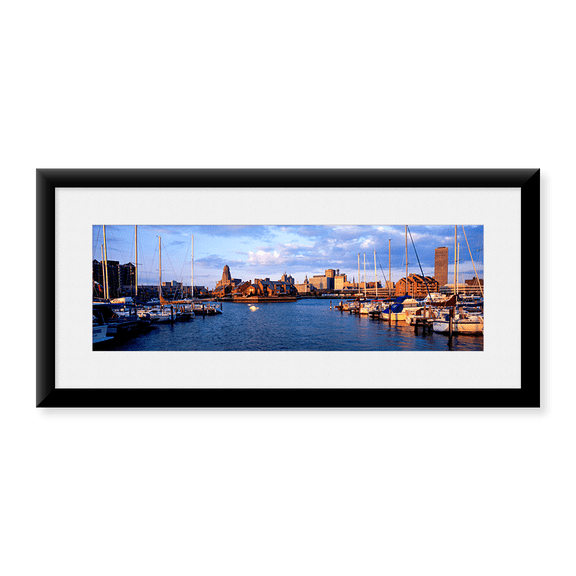 Framed Art Print, Buffalo by Panoramic Images, 31-7/8" x 11-7/8"