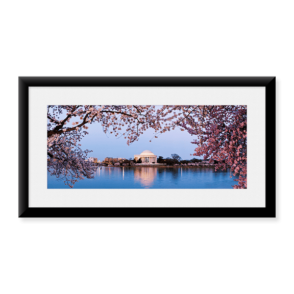 Framed Art Print, Cherry Blossom tree with a memorial in the backgro by Panoramic Images, 14-3/8" x 21-7/8"