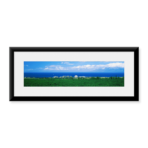 Framed Art Print, Coffee Field at the oceanside by Panoramic Images, 25-7/8" x 9-7/8"