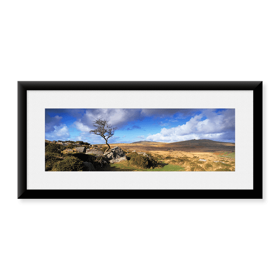 Framed Art Print, Crooked tree at Feather Tor by Panoramic Images, 25-7/8" x 9-7/8"