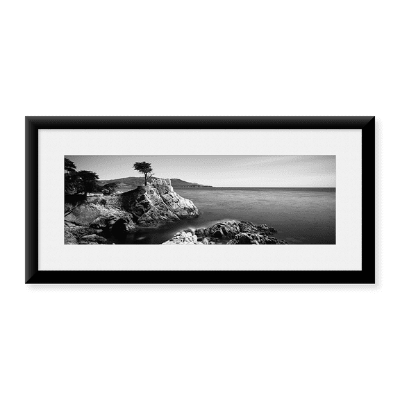 Framed Art Print, Cypress tree at the coast by Panoramic Images, 37-7/8" x 13-7/8"