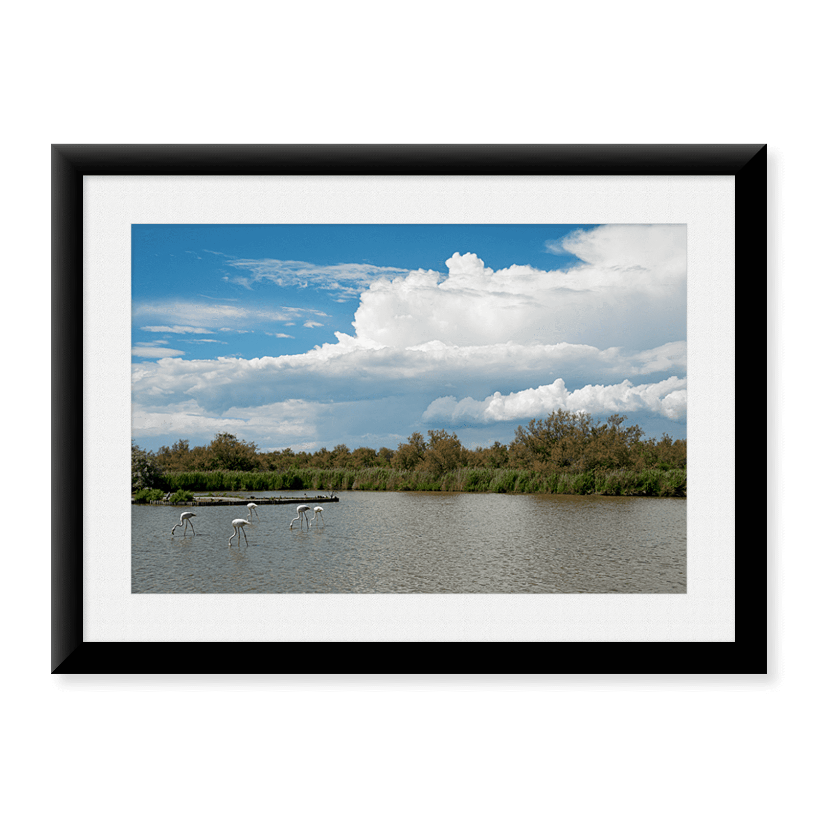 Framed Art Print, Flamingos in a lake by Panoramic Images, 17-7/8" x 21 ...