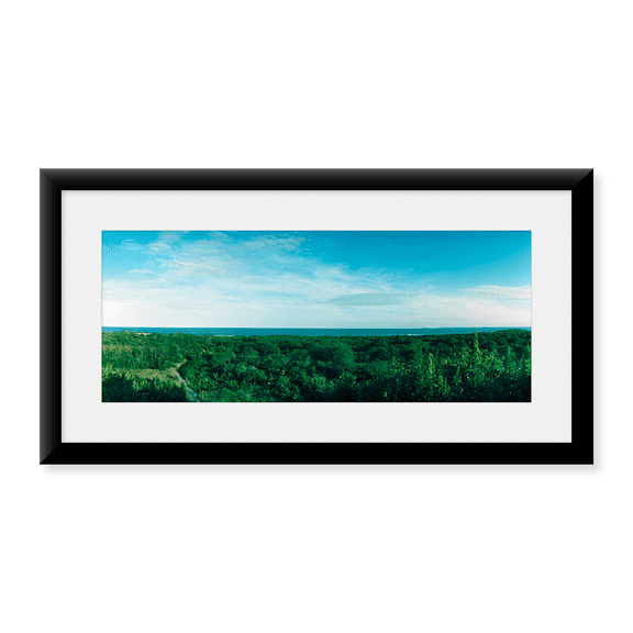 Framed Art Print, High angle view of trees with Atlantic Ocean at Fo by Panoramic Images, 11-7/8" x 17-7/8"