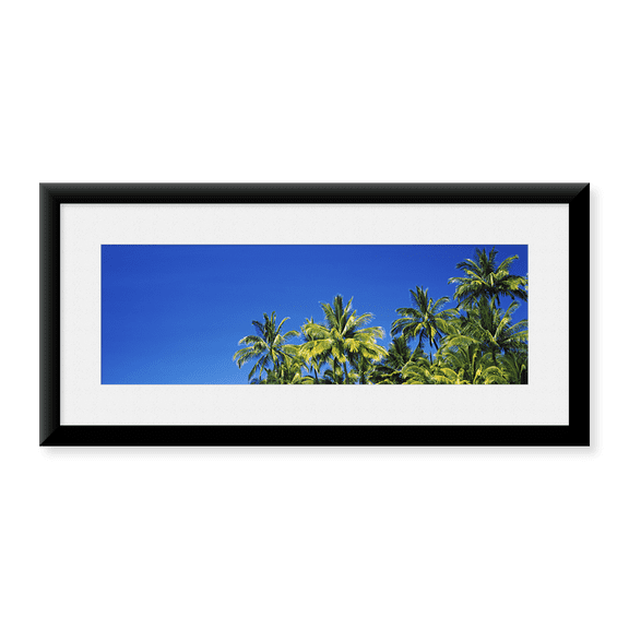 Framed Art Print, Low angle view of palm trees by Panoramic Images, 37-7/8" x 13-7/8"
