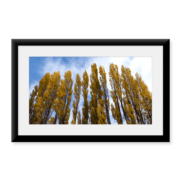 Framed Art Print, Low angle view of trees by Panoramic Images, 11-7/8" x 17-7/8"