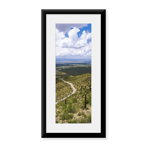 Framed Art Print, Saguaro cactus on a hillside by Panoramic Images, 25-7/8" x 9-7/8"
