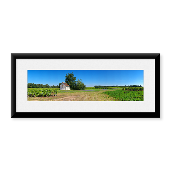 Framed Art Print, Sauvignon Blanc vineyard by Panoramic Images, 25-7/8" x 9-7/8"