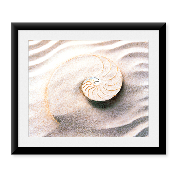 Framed Art Print, Shell spiraling into wavy sand pattern by Panoramic Images, 17-7/8" x 21-7/8"