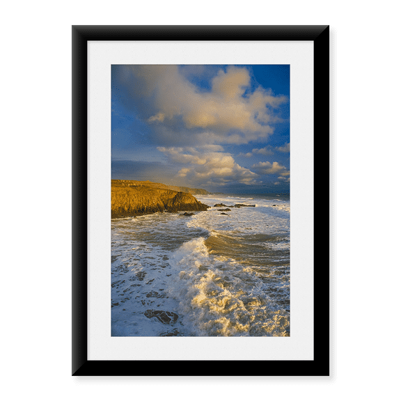 Framed Art Print, Stage Cove by Panoramic Images, 17-7/8" x 21-7/8"
