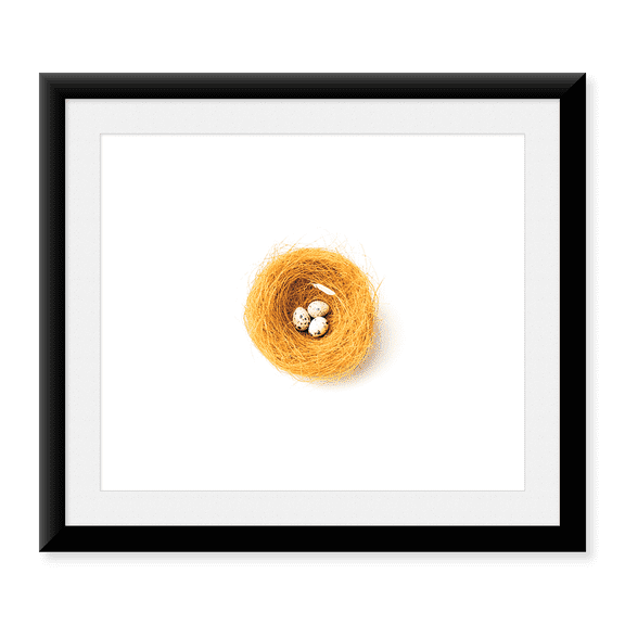 Framed Art Print, Three Eggs in Nest Illustrated On White Background by Panoramic Images, 17-7/8" x 21-7/8"