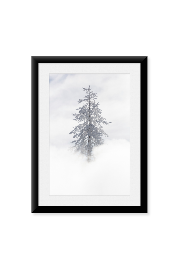 Framed Art Print, Tree Covered in Rime ice near Mud Volcano, Yellowstone National Park by The Yellowstone Collection, 17-7/8" x 21-7/8"