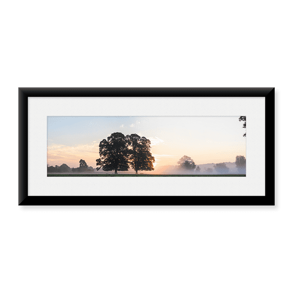 Framed Art Print, Trees at sunrise by Panoramic Images, 25-7/8" x 9-7/8"