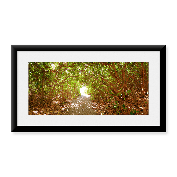 Framed Art Print, Trees on the entrance of a beach by Panoramic Images, 14-3/8" x 21-7/8"