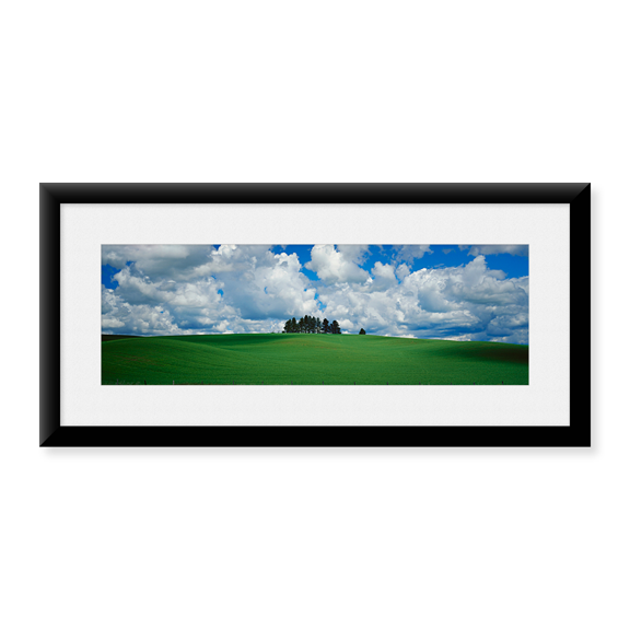 Framed Art Print, Trees on the top of a hill by Panoramic Images, 25-7/8" x 9-7/8"