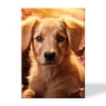 thumbnail image 1 of Framed Canvas Art Wall Decor Canvas Prints Pictures Wall Art,Golden Retriever Puppy With Soft Fur Surrounded By Blooming Cherry Artwork for Home Decor, Living Room, Office-16x24 Inches, 1 of 4