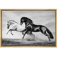 thumbnail image 1 of Framed Canvas Print Wall Art Black & White Desert Horse Stallions Animals Nature Photography Realism Rustic Landscape Portrait Wildlife Country for Living Room, Bedroom, Office - 1, 1 of 5