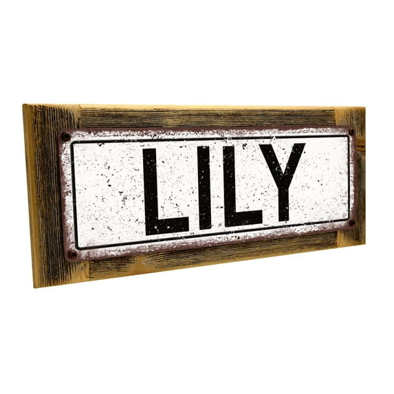 Framed Lily 4"x12" Metal Sign, Wall Décor for Kids Room and Nursery