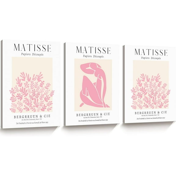 Framed Matisse Pink Wall Art Set of 3,Minimalist Canvas Wall Decor,Truly Quality Canvas Prints for 12x16IN,Art Poster Decoration for Bathroom,Bedroom