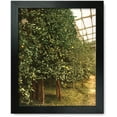 thumbnail image 1 of Framed Print: A Lemon Tree, Limone, Lake Garda, Italy, circa 1890, 1 of 3