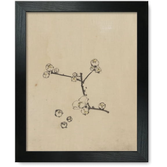 Framed Print: A Tree Branch With Blossoms, circa 1830