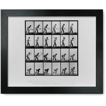 Framed Print: Animal Locomotion, 1887