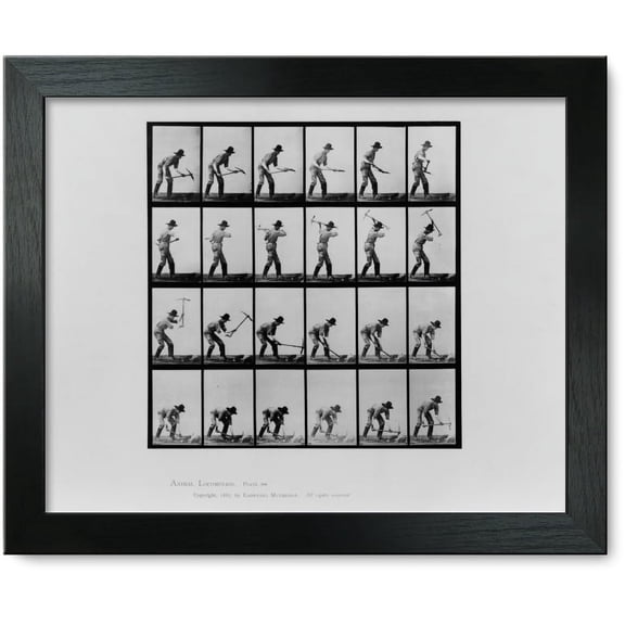 Framed Print: Animal Locomotion, 1887