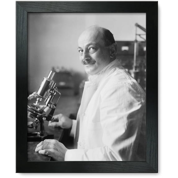 Framed Print: Bacteriology. Bacteriologist At G.W. University Who Was Supposed To