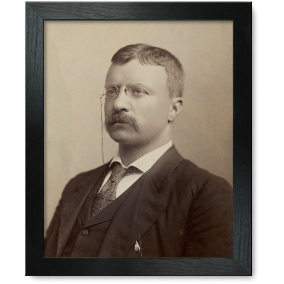 Framed Print: Col. Theo. Roosevelt, 1898
