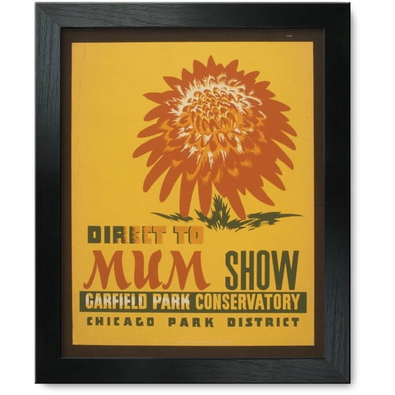 Framed Print: Direct To Mum Show, Garfield Park Conservatory, circa 1936