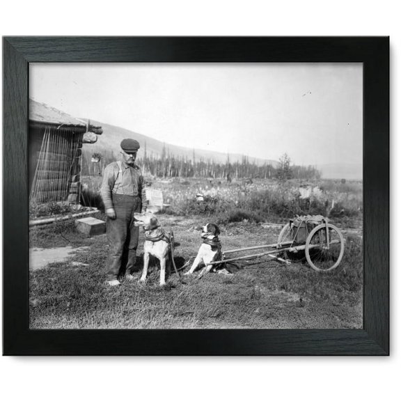 Framed Print: Dog Cart, 1916