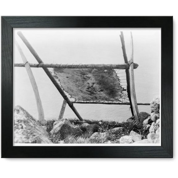 Framed Print: Drying Walrus Hide, Diomede, Alaska, 1929