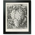 thumbnail image 1 of Framed Print: First Premium Grapes: A Royal Cluster, 1865, 1 of 3