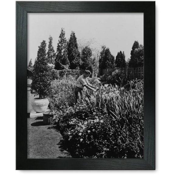 Framed Print: Gardener Tending Floral Border, Posed To Illustrate Rudyard