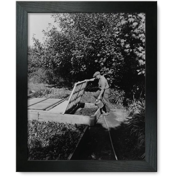 Framed Print: Gardener Watering Cold Frame Plants, Posed To Illustrate Rudyard