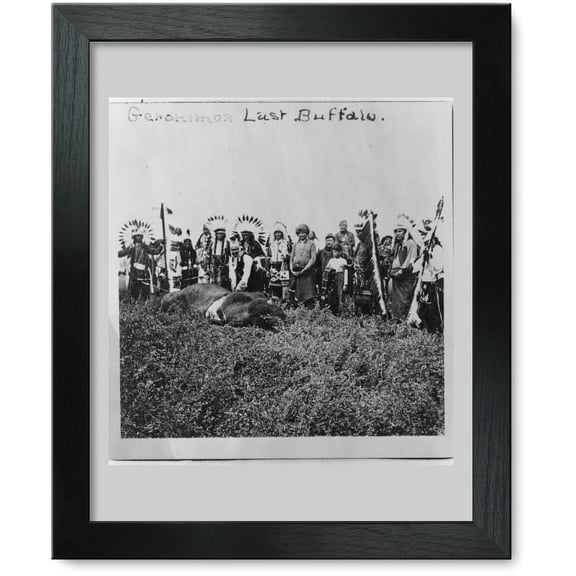 Framed Print: Geronimos Last Buffalo, 1906