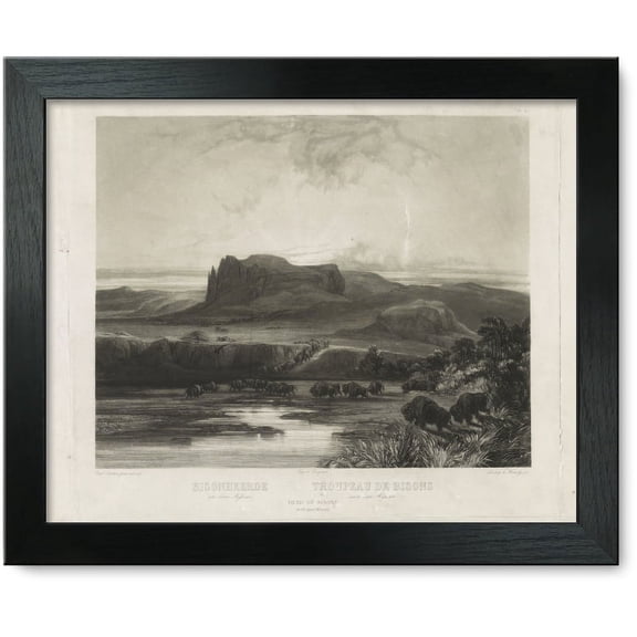 Framed Print: Herd Of Bisons On The Upper Missouri
