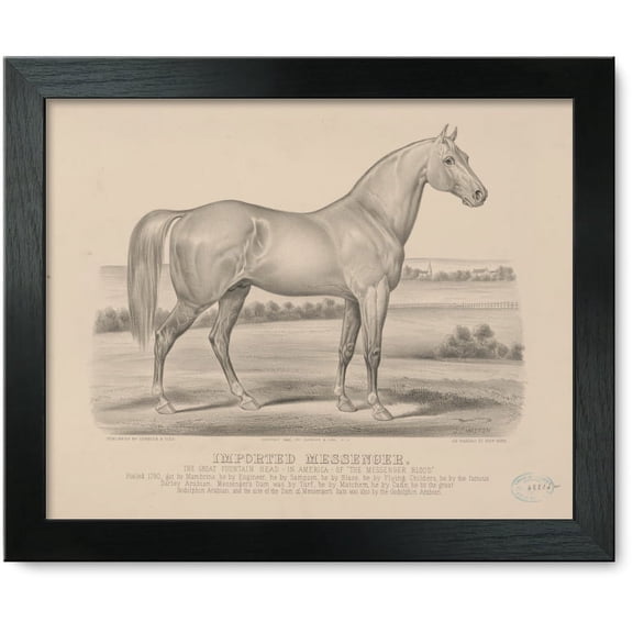 Framed Print: Imported Messenger: The Great Fountain Head--In America--Of The