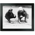 thumbnail image 1 of Framed Print: Judge Landis In Trouble, 1922, 1 of 3