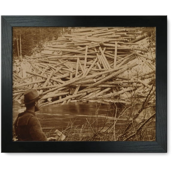 Framed Print: Landing And Scaling Logs, Aroostook Woods, Maine, U.S.A., 1903