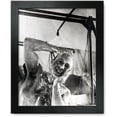 thumbnail image 1 of Framed Print: Libya: Popular Mobile Bath Units In The Western Desert, circa 1940, 1 of 3